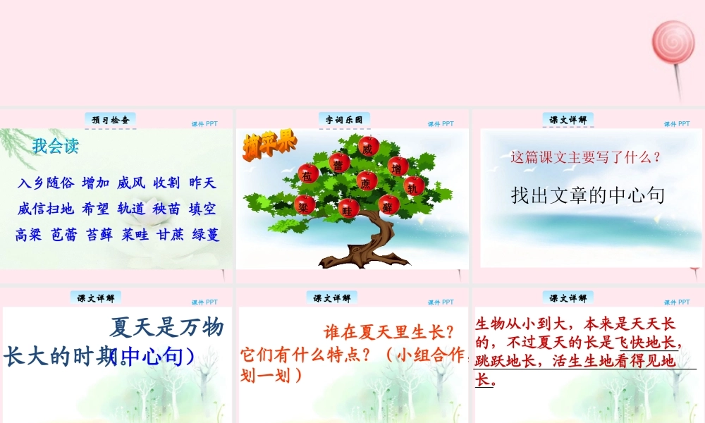 三年级语文下册 6.3《在夏天里成长》课件 长春版-长春版小学三年级下册语文课件