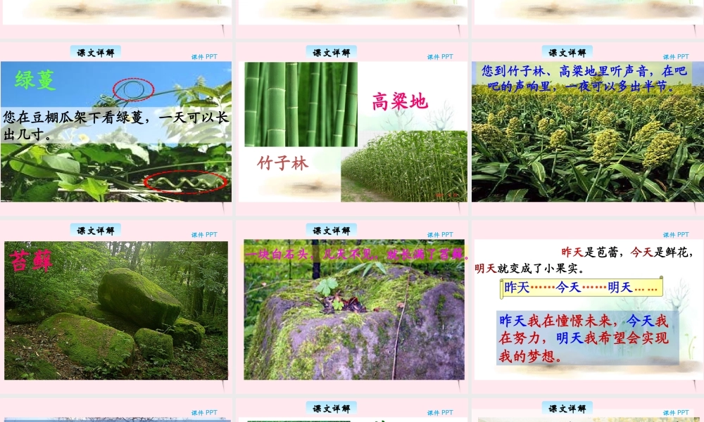 三年级语文下册 6.3《在夏天里成长》课件 长春版-长春版小学三年级下册语文课件