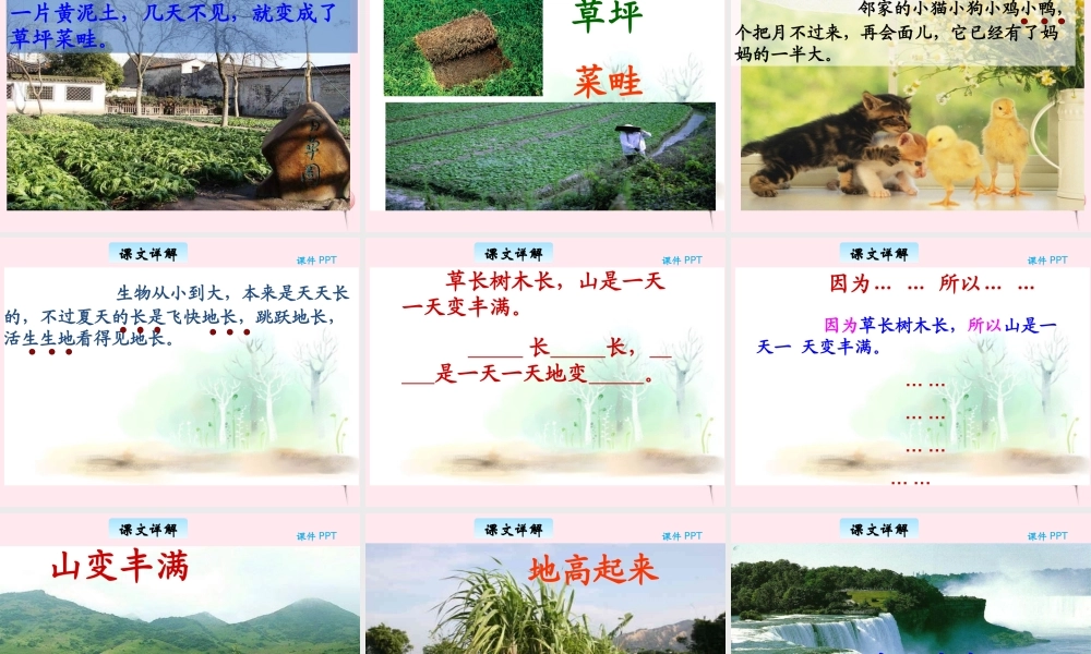 三年级语文下册 6.3《在夏天里成长》课件 长春版-长春版小学三年级下册语文课件