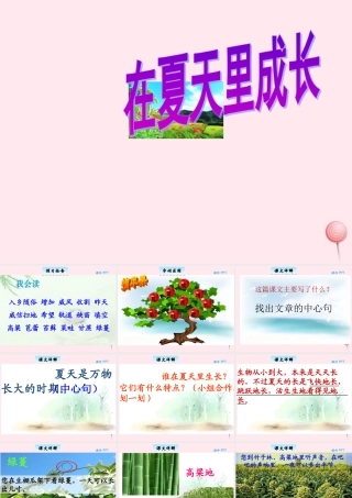 三年级语文下册 6.3《在夏天里成长》课件 长春版-长春版小学三年级下册语文课件