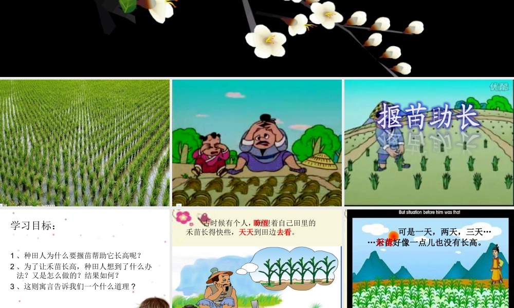 三年级语文下册 第3单元 11《寓言两则》揠苗助长课件4 语文S版-语文S版小学三年级下册语文课件