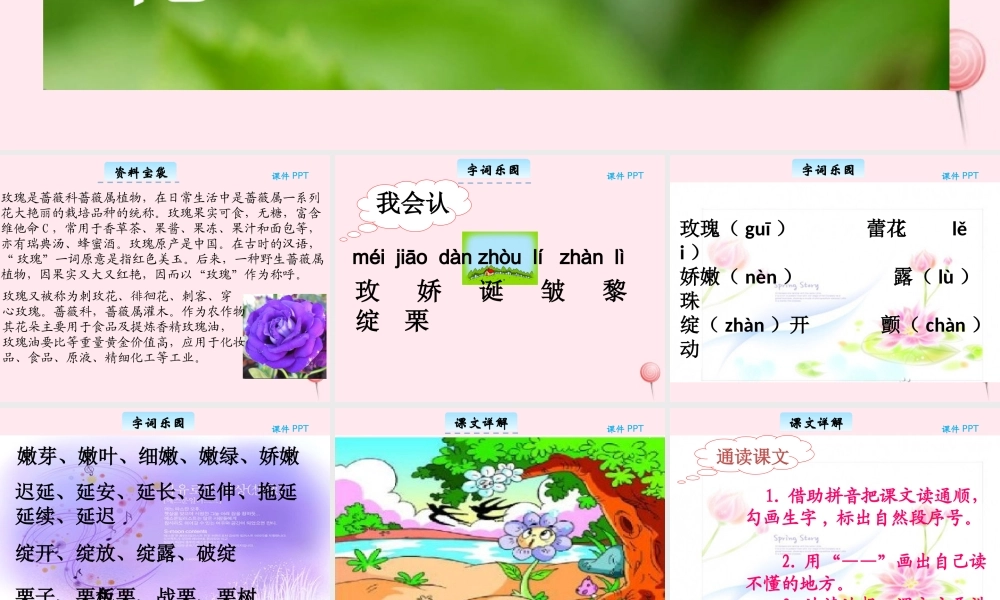 三年级语文下册 8.1《紫色的小花》课件 长春版-长春版小学三年级下册语文课件