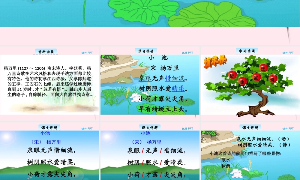 三年级语文下册 8.2《小池》课件 长春版-长春版小学三年级下册语文课件