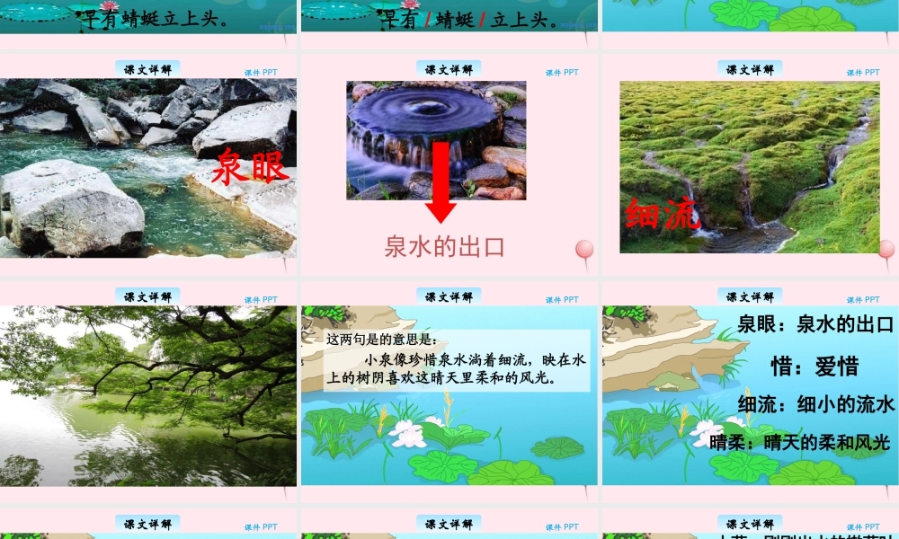 三年级语文下册 8.2《小池》课件 长春版-长春版小学三年级下册语文课件
