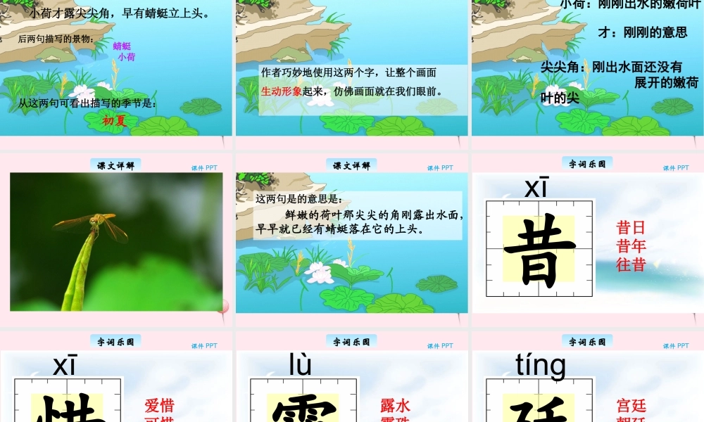 三年级语文下册 8.2《小池》课件 长春版-长春版小学三年级下册语文课件
