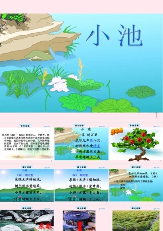 三年级语文下册 8.2《小池》课件 长春版-长春版小学三年级下册语文课件
