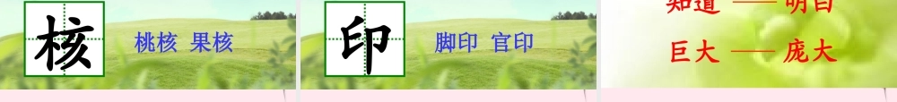 三年级语文下册 9.2《切错的苹果》课件 长春版-长春版小学三年级下册语文课件