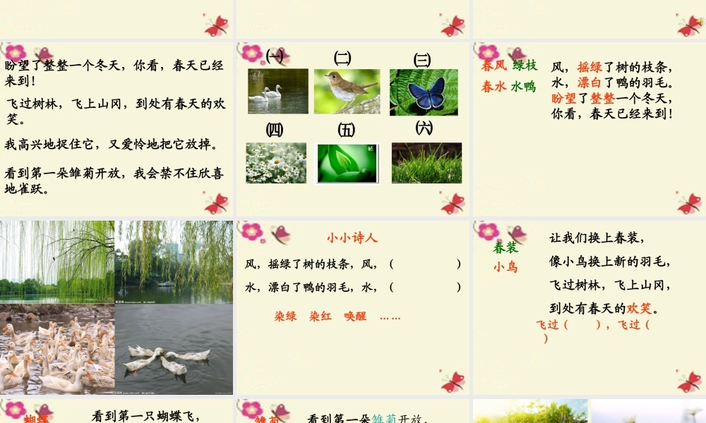 三年级语文下册 第1单元 1《春的消息》课件1 沪教版-沪教版小学三年级下册语文课件