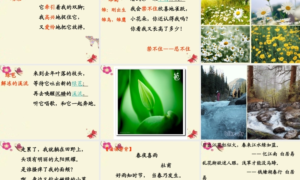 三年级语文下册 第1单元 1《春的消息》课件1 沪教版-沪教版小学三年级下册语文课件