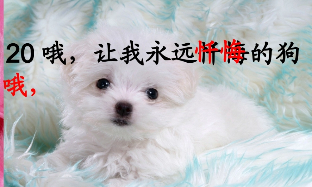 三年级语文下册 第4单元 ，让我永远忏悔的狗》课件4 沪教版-沪教级下册语文课件