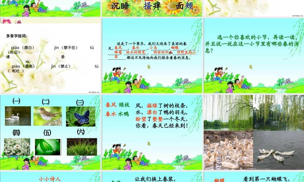 三年级语文下册 第1单元 1《春的消息》课件2 沪教版-沪教版小学三年级下册语文课件
