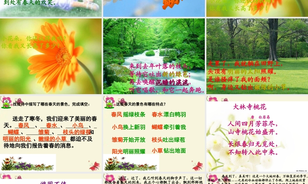 三年级语文下册 第1单元 1《春的消息》课件4 沪教版-沪教版小学三年级下册语文课件