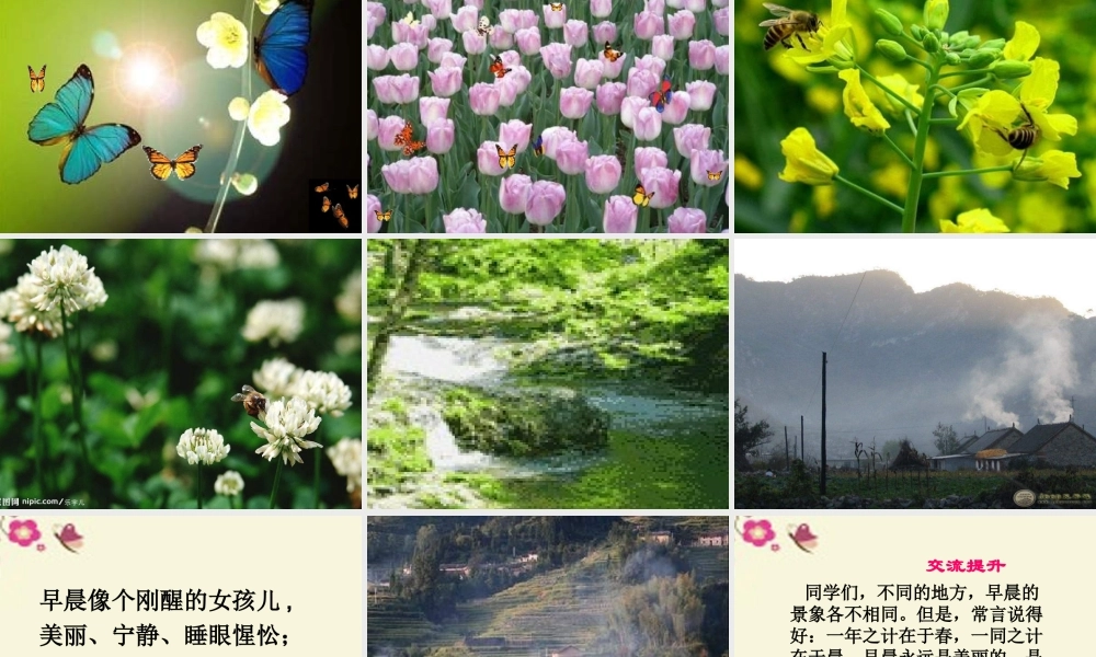 三年级语文下册 第4单元 13《山村的早晨》课件6 语文S版-语文S版小学三年级下册语文课件