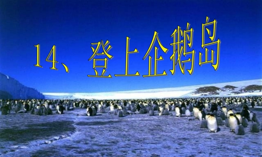 三年级语文下册 第4单元 14《登上企鹅岛》课件1 语文S版-语文S版小学三年级下册语文课件