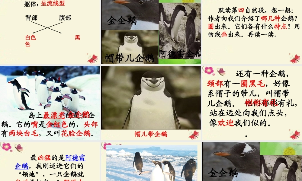 三年级语文下册 第4单元 14《登上企鹅岛》课件1 语文S版-语文S版小学三年级下册语文课件