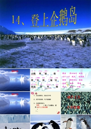 三年级语文下册 第4单元 14《登上企鹅岛》课件1 语文S版-语文S版小学三年级下册语文课件
