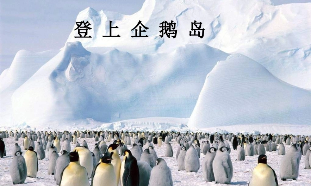 三年级语文下册 第4单元 14《登上企鹅岛》课件2 语文S版-语文S版小学三年级下册语文课件