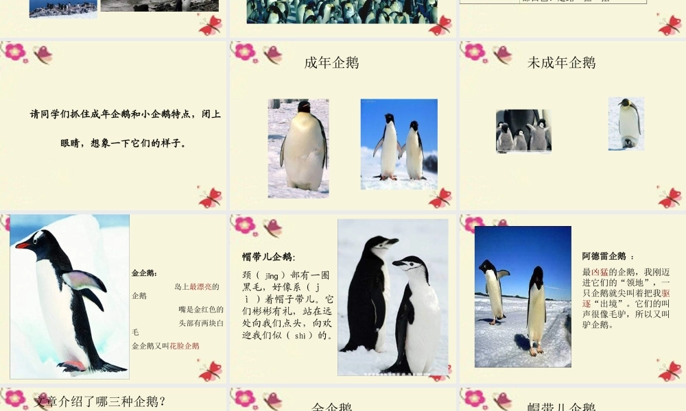 三年级语文下册 第4单元 14《登上企鹅岛》课件2 语文S版-语文S版小学三年级下册语文课件