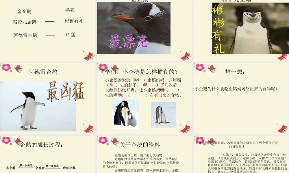 三年级语文下册 第4单元 14《登上企鹅岛》课件2 语文S版-语文S版小学三年级下册语文课件