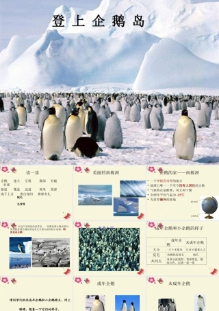 三年级语文下册 第4单元 14《登上企鹅岛》课件2 语文S版-语文S版小学三年级下册语文课件