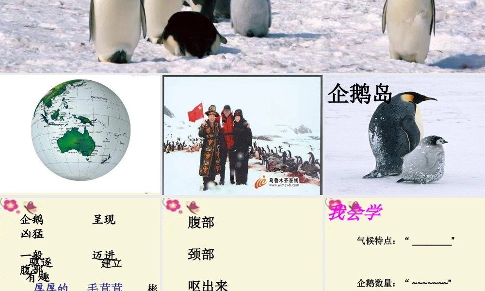 三年级语文下册 第4单元 14《登上企鹅岛》课件3 语文S版-语文S版小学三年级下册语文课件