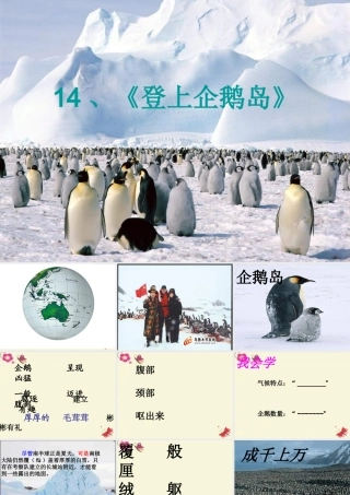 三年级语文下册 第4单元 14《登上企鹅岛》课件3 语文S版-语文S版小学三年级下册语文课件