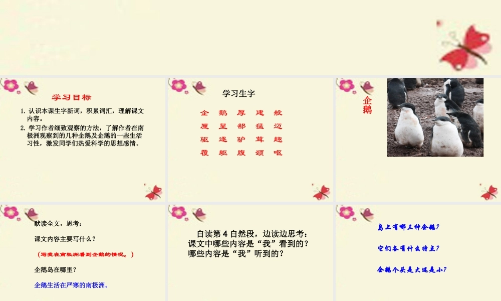 三年级语文下册 第4单元 14《登上企鹅岛》课件4 语文S版-语文S版小学三年级下册语文课件