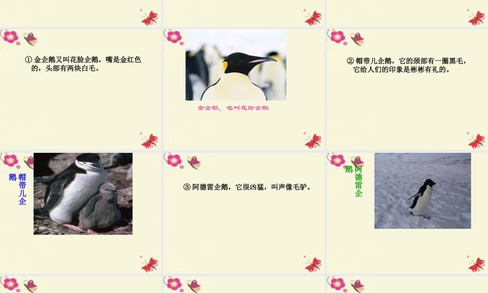 三年级语文下册 第4单元 14《登上企鹅岛》课件4 语文S版-语文S版小学三年级下册语文课件