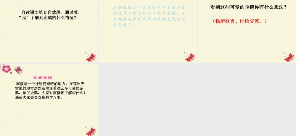 三年级语文下册 第4单元 14《登上企鹅岛》课件4 语文S版-语文S版小学三年级下册语文课件