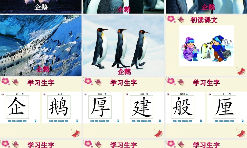 三年级语文下册 第4单元 14《登上企鹅岛》课件5 语文S版-语文S版小学三年级下册语文课件