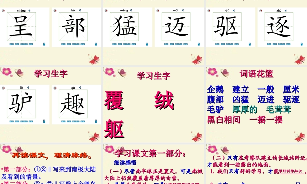 三年级语文下册 第4单元 14《登上企鹅岛》课件5 语文S版-语文S版小学三年级下册语文课件