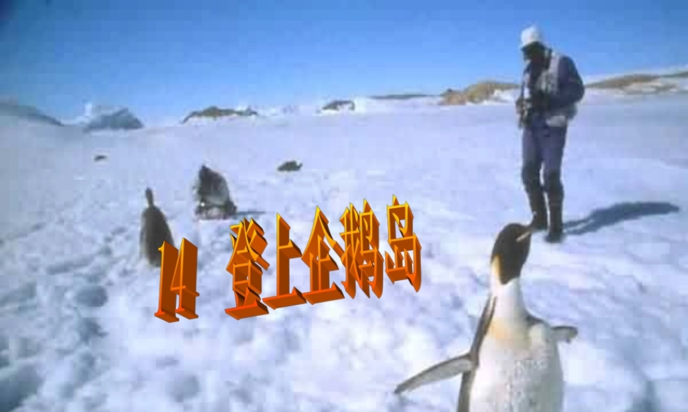 三年级语文下册 第4单元 14《登上企鹅岛》课件6 语文S版-语文S版小学三年级下册语文课件