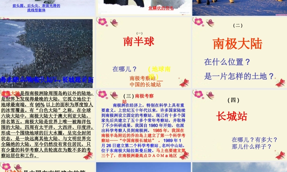 三年级语文下册 第4单元 14《登上企鹅岛》课件6 语文S版-语文S版小学三年级下册语文课件