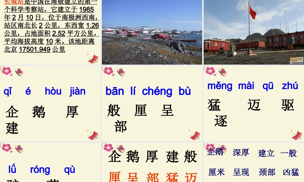 三年级语文下册 第4单元 14《登上企鹅岛》课件6 语文S版-语文S版小学三年级下册语文课件