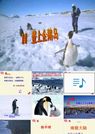 三年级语文下册 第4单元 14《登上企鹅岛》课件6 语文S版-语文S版小学三年级下册语文课件