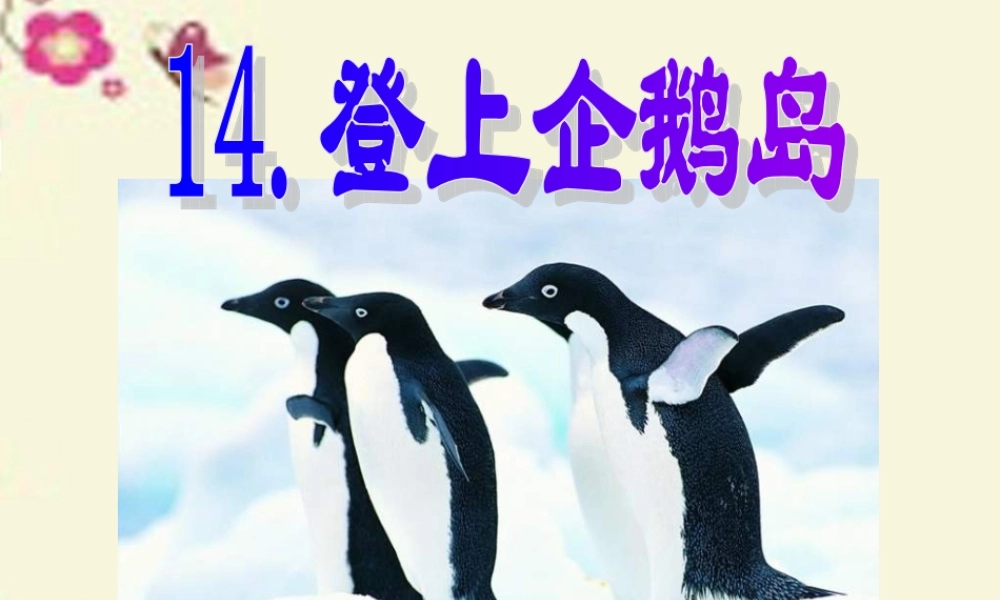 三年级语文下册 第4单元 14《登上企鹅岛》课件7 语文S版-语文S版小学三年级下册语文课件
