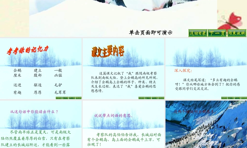 三年级语文下册 第4单元 14《登上企鹅岛》课件7 语文S版-语文S版小学三年级下册语文课件