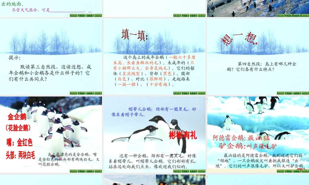 三年级语文下册 第4单元 14《登上企鹅岛》课件7 语文S版-语文S版小学三年级下册语文课件