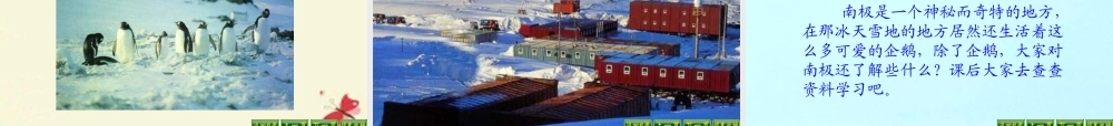 三年级语文下册 第4单元 14《登上企鹅岛》课件7 语文S版-语文S版小学三年级下册语文课件