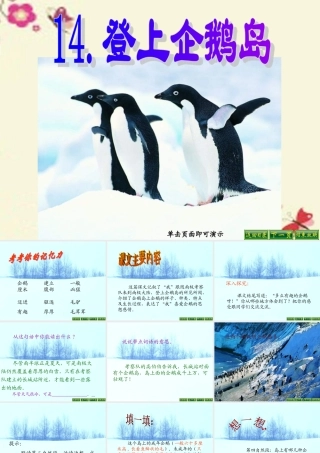 三年级语文下册 第4单元 14《登上企鹅岛》课件7 语文S版-语文S版小学三年级下册语文课件