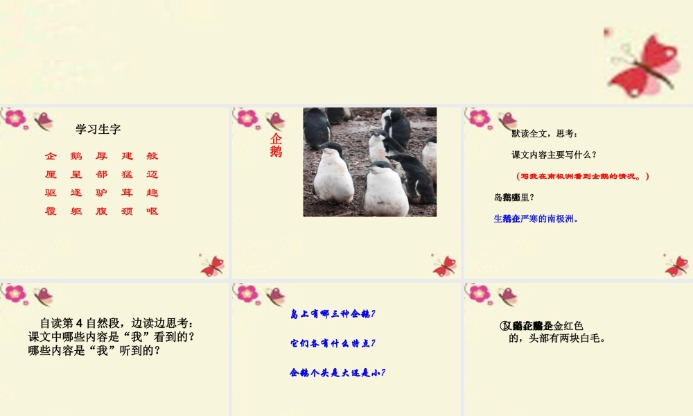 三年级语文下册 第4单元 14《登上企鹅岛》课件8 语文S版-语文S版小学三年级下册语文课件