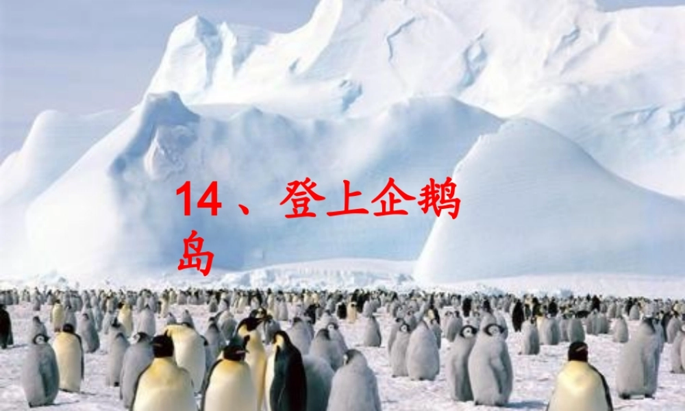 三年级语文下册 第4单元 14《登上企鹅岛》课件9 语文S版-语文S版小学三年级下册语文课件