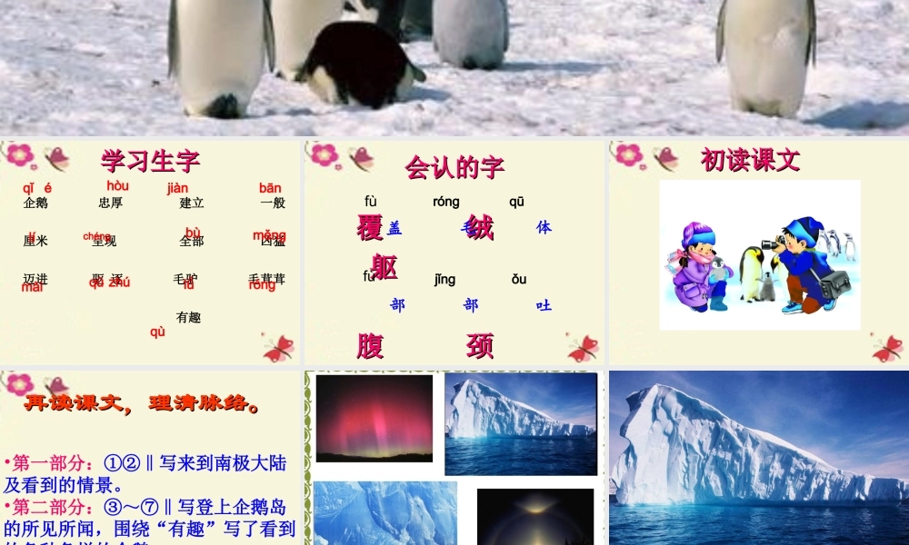 三年级语文下册 第4单元 14《登上企鹅岛》课件9 语文S版-语文S版小学三年级下册语文课件