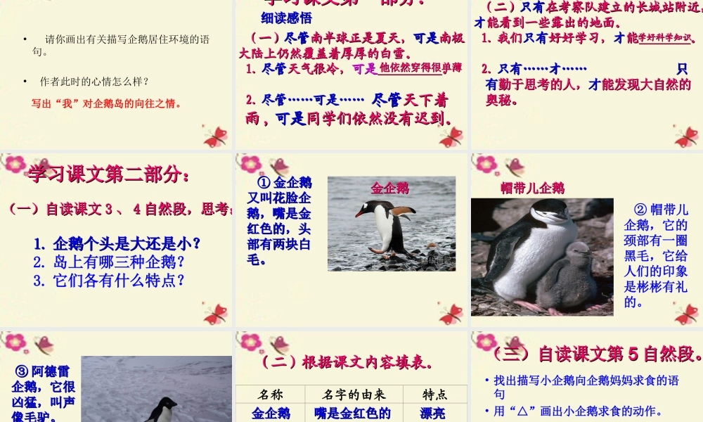 三年级语文下册 第4单元 14《登上企鹅岛》课件9 语文S版-语文S版小学三年级下册语文课件