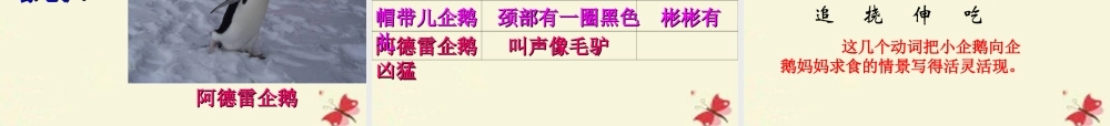 三年级语文下册 第4单元 14《登上企鹅岛》课件9 语文S版-语文S版小学三年级下册语文课件