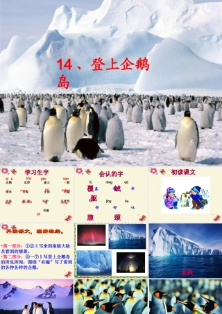 三年级语文下册 第4单元 14《登上企鹅岛》课件9 语文S版-语文S版小学三年级下册语文课件
