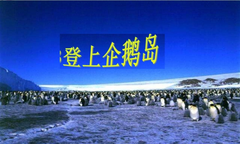 三年级语文下册 第4单元 14《登上企鹅岛》课件10 语文S版-语文S版小学三年级下册语文课件