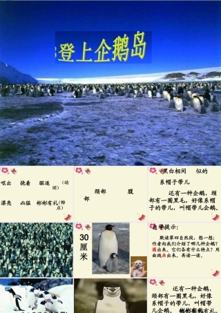 三年级语文下册 第4单元 14《登上企鹅岛》课件10 语文S版-语文S版小学三年级下册语文课件