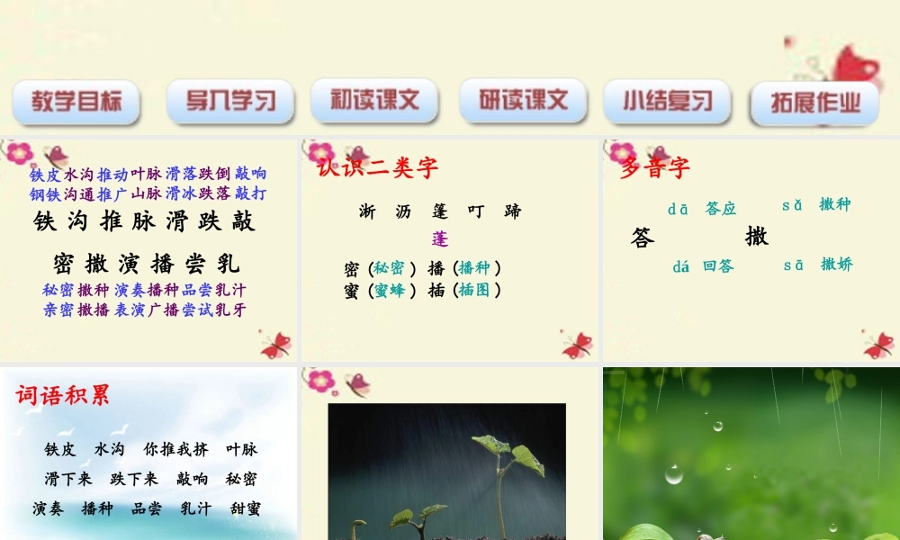 三年级语文下册 第1单元 3《春天的小雨滴滴滴》课件2 沪教版-沪教版小学三年级下册语文课件