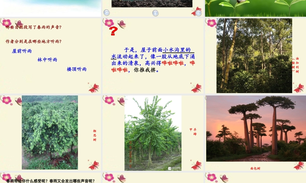 三年级语文下册 第1单元 3《春天的小雨滴滴滴》课件2 沪教版-沪教版小学三年级下册语文课件